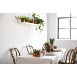 Plants for Dining