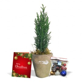 FestiveSp1