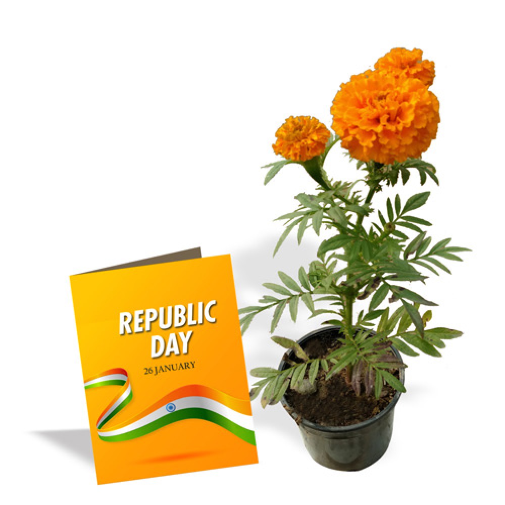 Republic day Wish 1