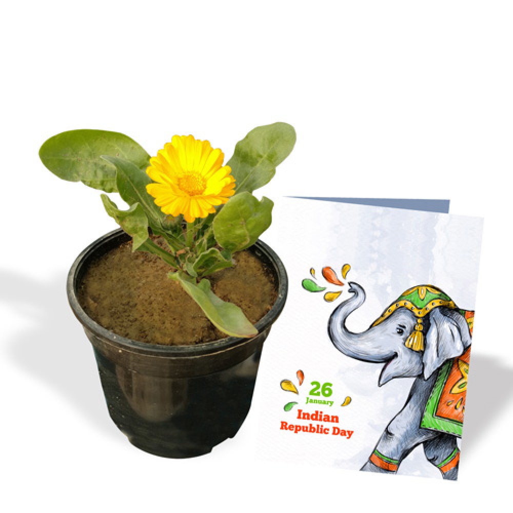 Republic Day Wish 2