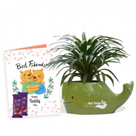 Combo for Teddy day 