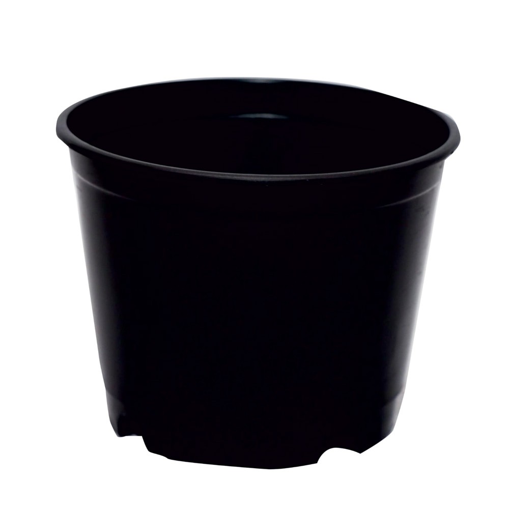 Pot2