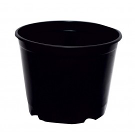 Pot2