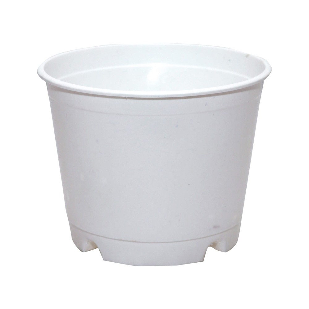 Pot5