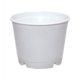 Pot5