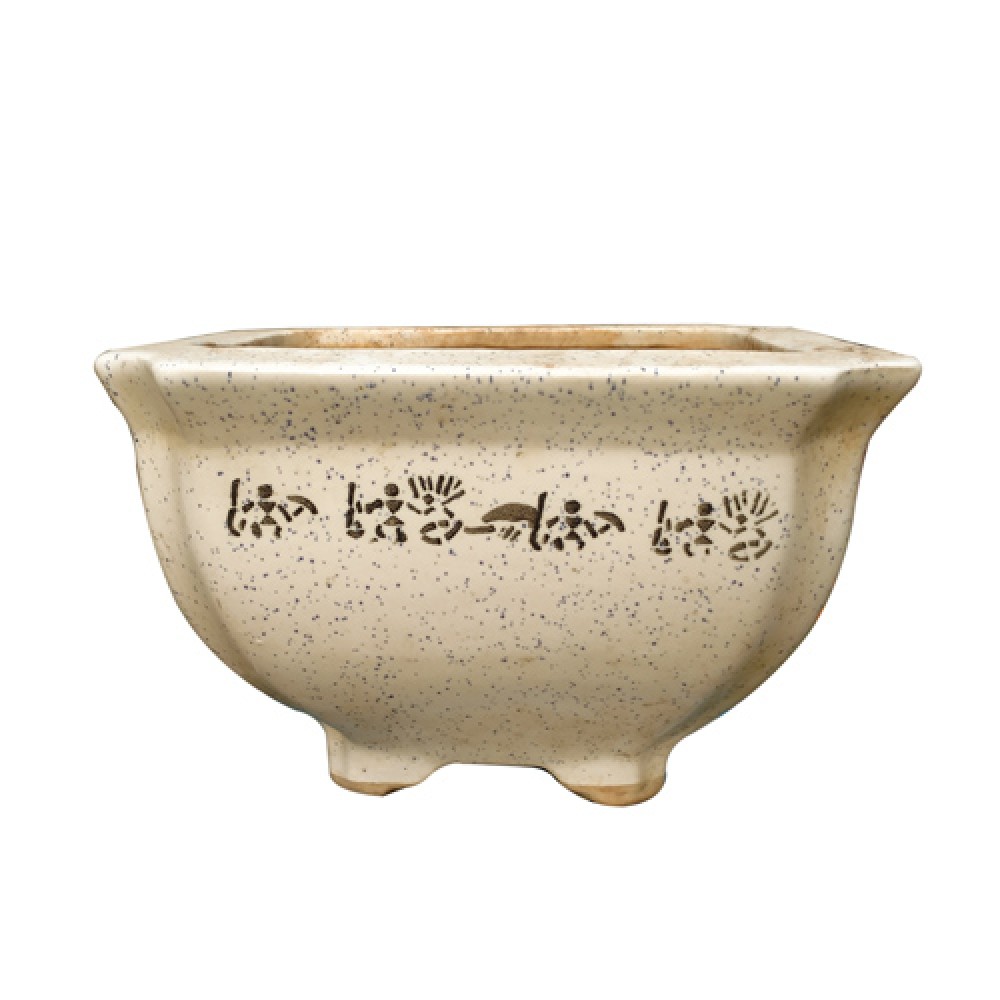 Pot 11