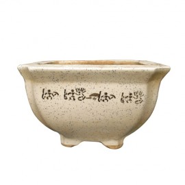 Pot 11